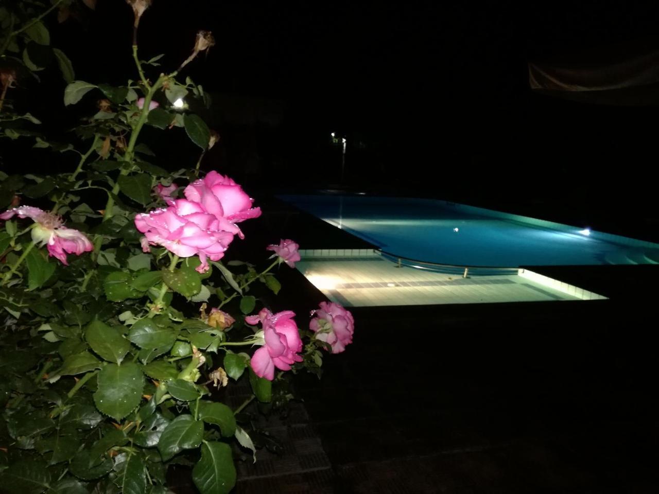 Prespa Resort & Spa Platy  エクステリア 写真